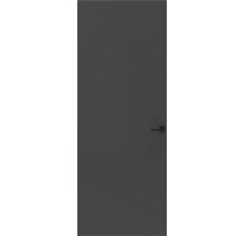 Binnendeur met deurklink