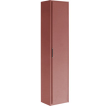 Smalle metalen kast met deur en handgreep