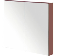 Spiegelkast met twee deuren