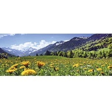 Landschap met weide, paardenbloemen en bergen