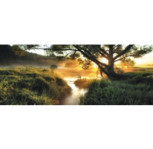 Ochtendlandschap met beek, weide en bomen in de mist