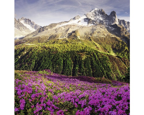 PURE LIVING Schilderij glas Alpine Roses I 30x30 cm