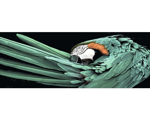 PURE LIVING Schilderij glas Green Parrot 30x80 cm