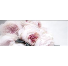 Close-up van rozenbloesems