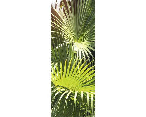 PURE LIVING Schilderij glas Palm leaves 30x80 cm