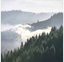 Landschap met dennenbos en mist