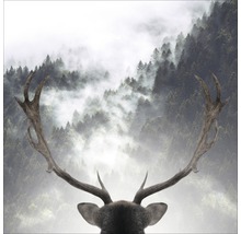 Decoratieve afbeelding met hertengewei en bos in de mist