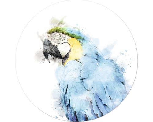 PURE LIVING Schilderij glas Blue Painted Parrot ø 30 cm
