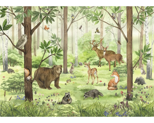 Illustratie van een bos met diverse dieren