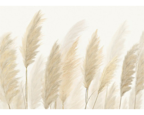 Decoratieve afbeelding van pampasgras