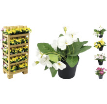 Bloemenstandaard met viooltjes in potten