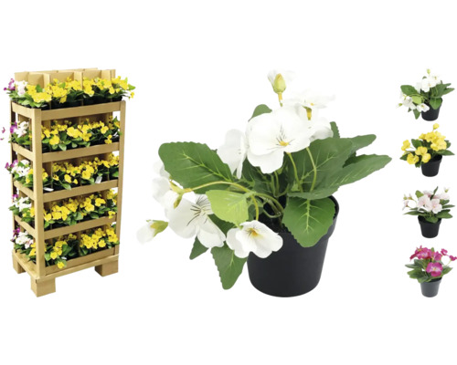 Bloemenstandaard met viooltjes in potten