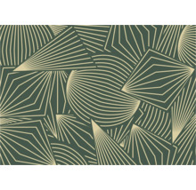 Behang met geometrische lijnen en patronen