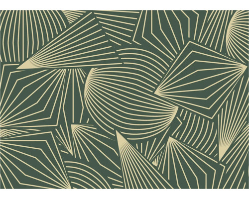 Behang met geometrische lijnen en patronen