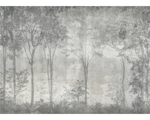 Decoratief fotobehang met bosmotief voor wanddecoratie