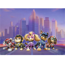 Illustratie van Paw Patrol voor een stadsgezicht.