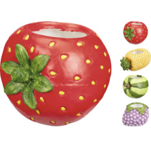 Decoratieve plantenbakken in de vorm van verschillende vruchten