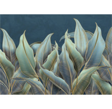 Illustratie van bladeren met bladnerven