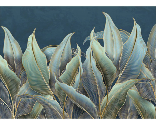 Illustratie van bladeren met bladnerven