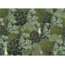 Behang met bosmotief voor wanddecoratie