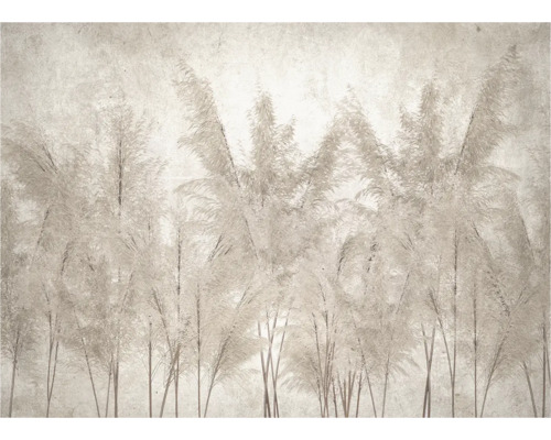 Fotobehang met rietgras motief