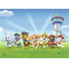Paw Patrol Team met uitkijktoren op de achtergrond