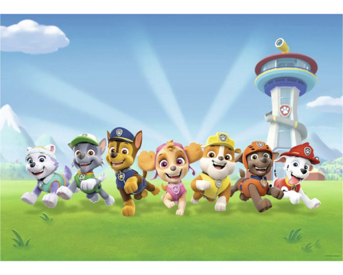 Paw Patrol Team met uitkijktoren op de achtergrond