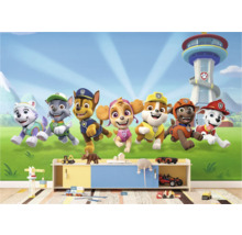 Kinderkamer met Paw Patrol muurschildering, speelgoedrek en speelgoed
