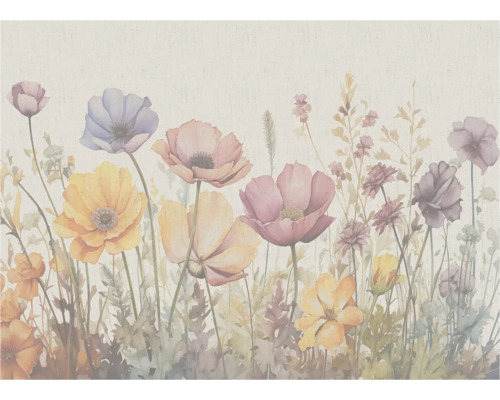 Bloemenweide illustratie