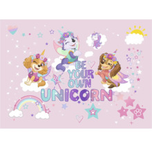 Paw Patrol achtergrond met eenhoornthema
