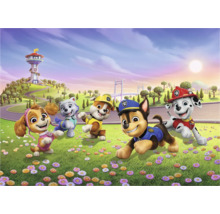 Illustratie van de Paw Patrol voor hun commandocentrum