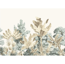 Illustratie van tropische planten