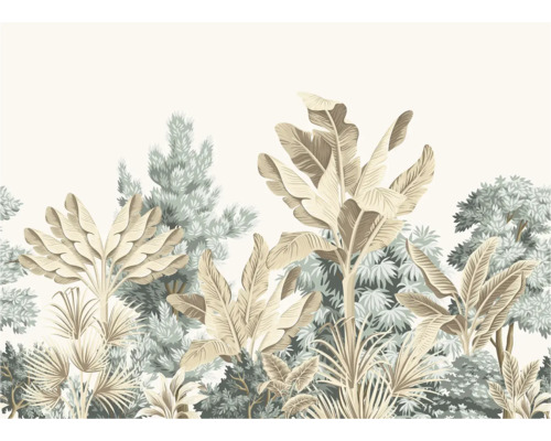 Illustratie van tropische planten