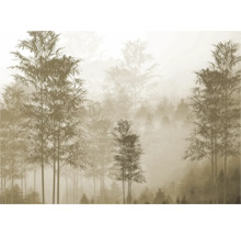 Behang met bosmotief in de mist
