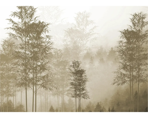 Behang met bosmotief in de mist