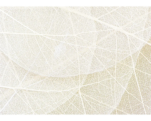 Close-up van filigraan bladstructuren