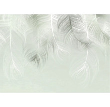 Behang met verenmotief voor wanddecoratie