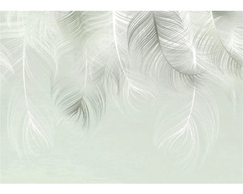 Behang met verenmotief voor wanddecoratie
