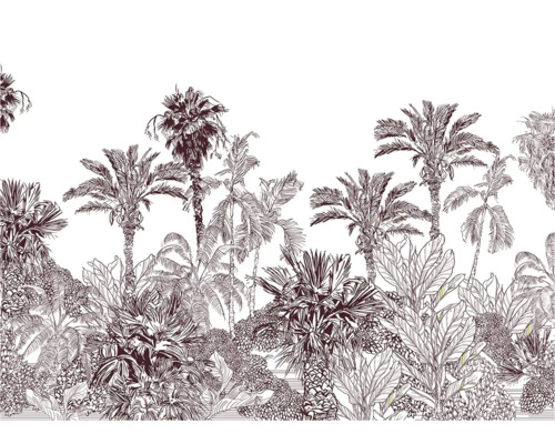 Illustratie van palmbomen en tropische vegetatie