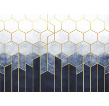 Behang met geometrisch patroon van zeshoeken en lijnen