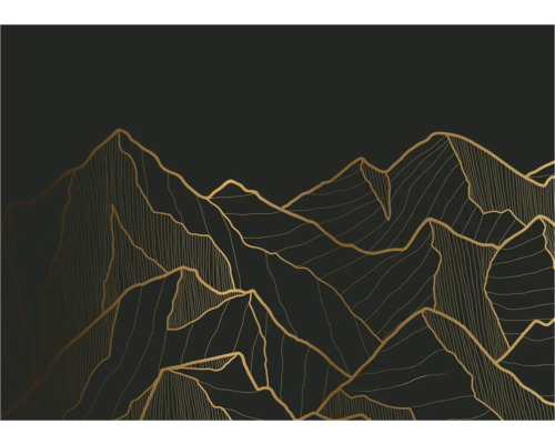 Illustratie van een berglandschap met gouden contouren op een donkere achtergrond