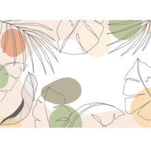 Illustratie van verschillende bladeren en vormen