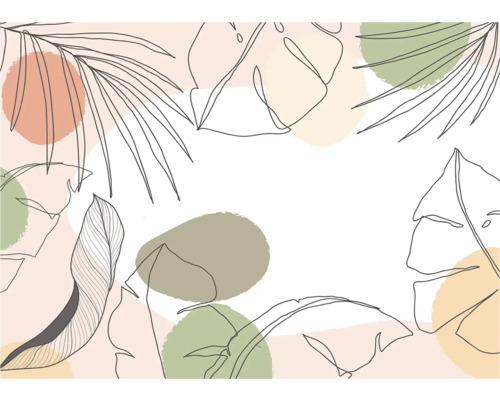 Illustratie van verschillende bladeren en vormen