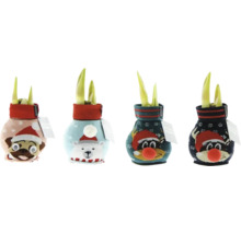 Vier bloembollen in sierpot met dierenmotief