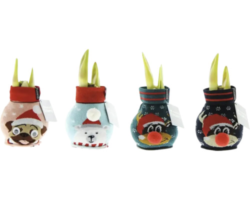 Vier bloembollen in sierpot met dierenmotief