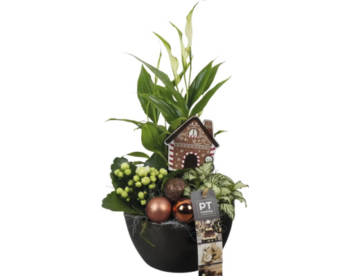 Bloemstuk met vredeslelie, Kalanchoë, kerstballen en decoratief peperkoekhuisje in een pot