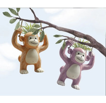 Twee hangende apen plantenbakken aan een tak