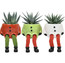 Drie kamerplanten in decoratieve bloempotten met benen en schoenen