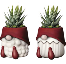 Twee planten in dwerg-bloempotten