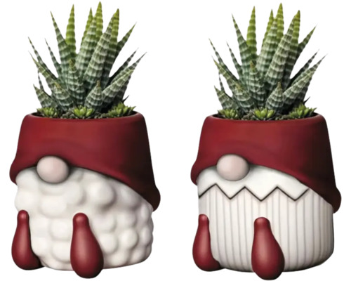 Twee planten in dwerg-bloempotten